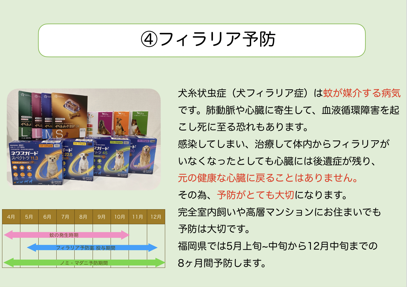 ④フィラリア予防