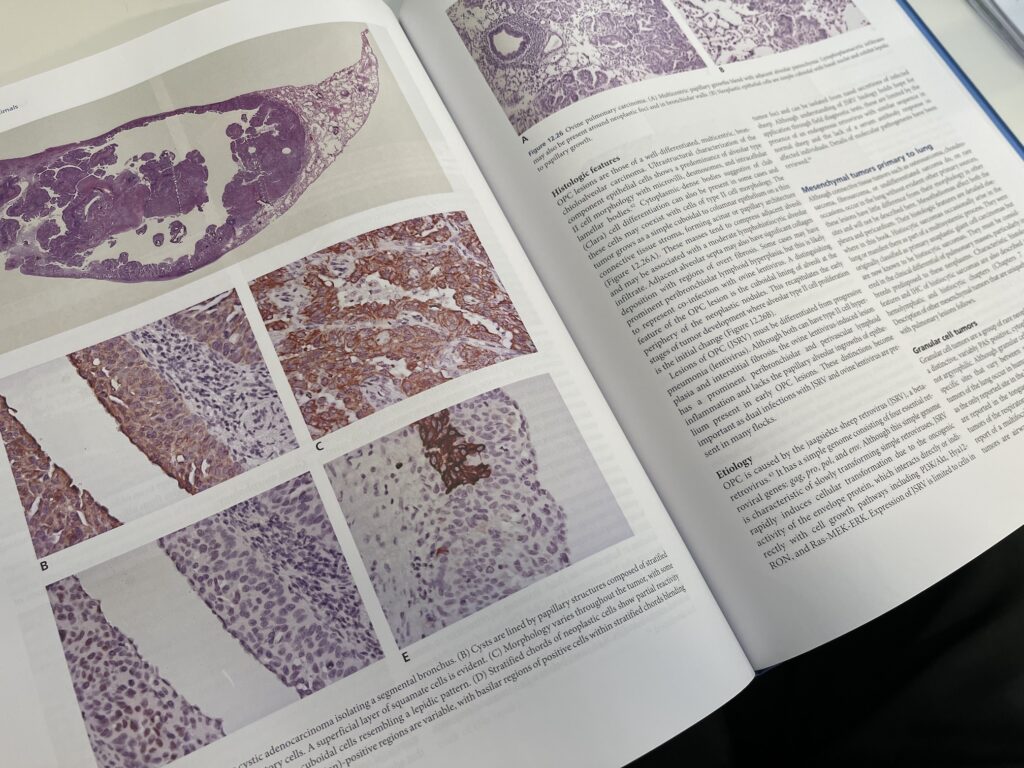病理組織検査の資料