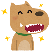 キレイな歯の犬