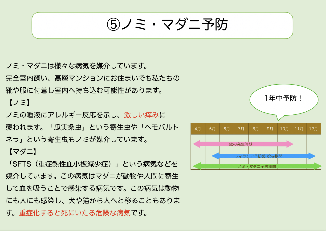 ⑤ノミ・マダニ予防