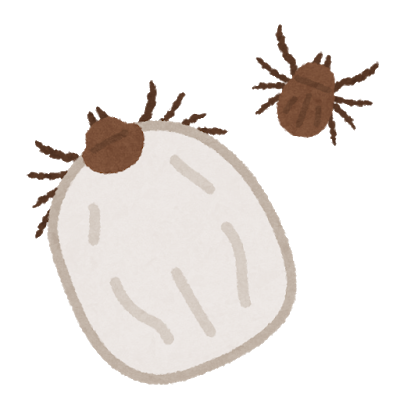 マダニの吸血前と吸血後のイラスト