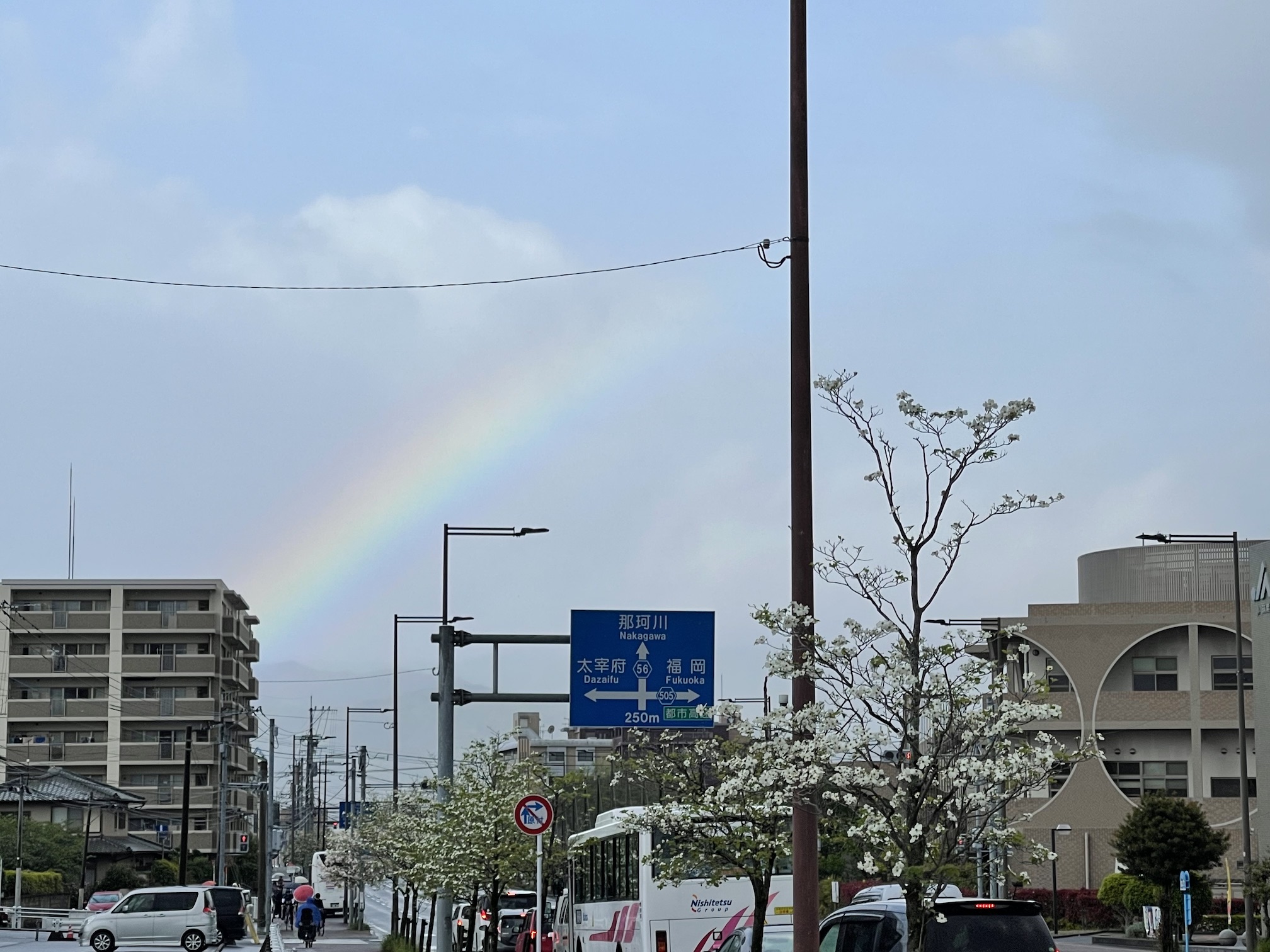 虹が出ている様子