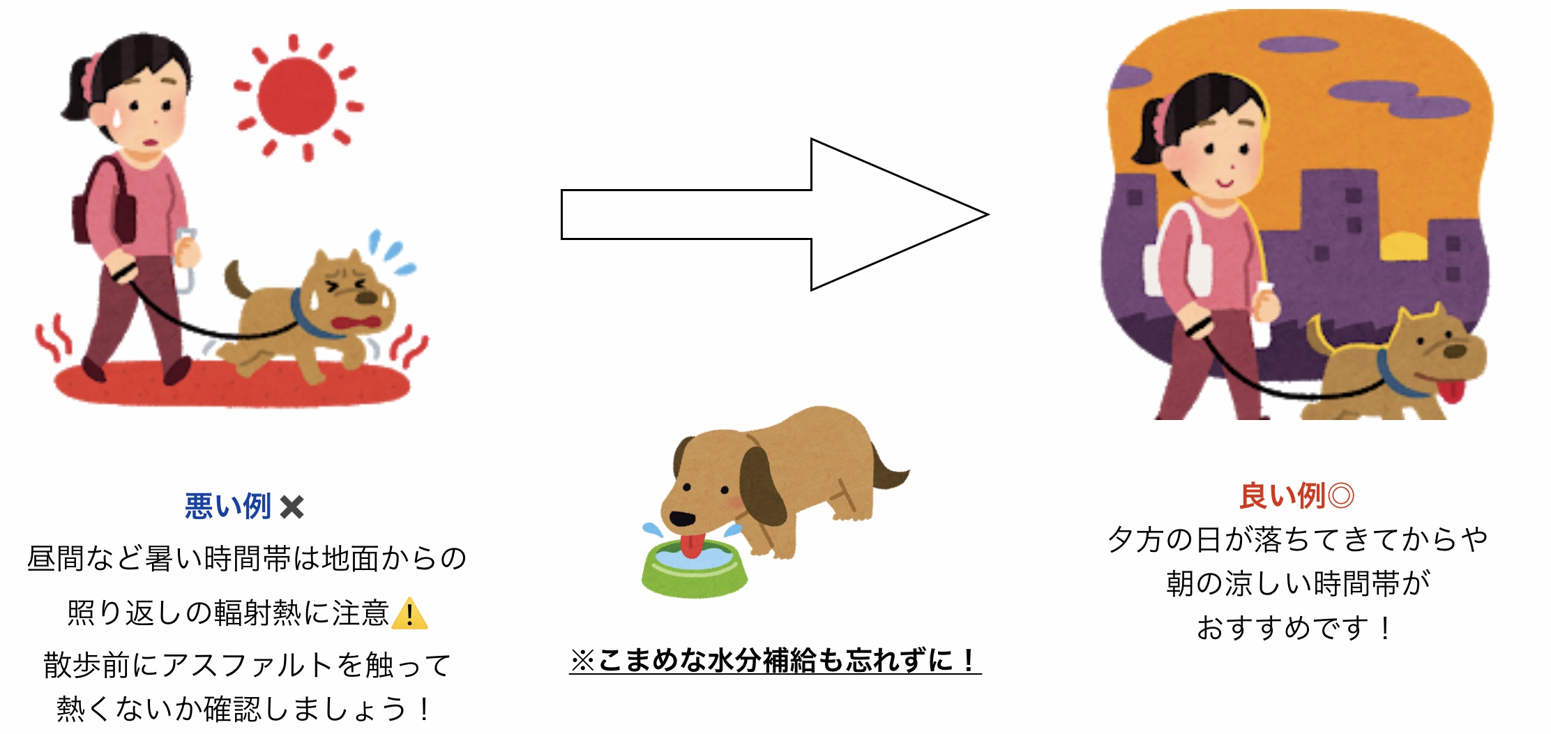 熱中症を避けるための犬の散歩の方法