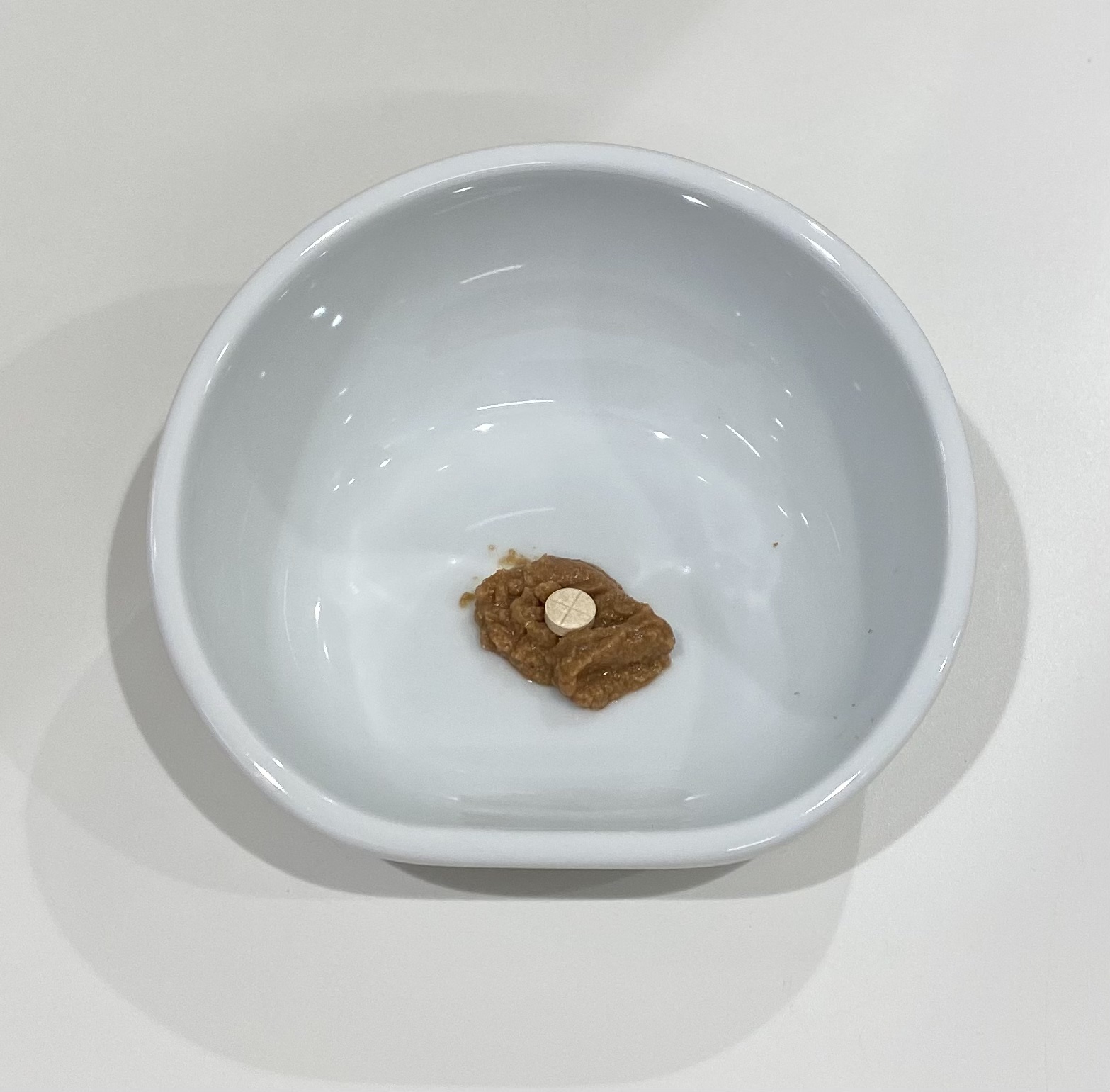 ウェットフードで投薬のダメな例