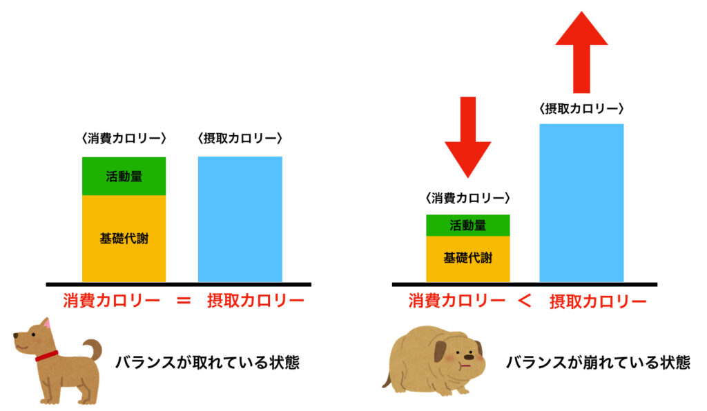 消費カロリーと接種カロリーのバランス
