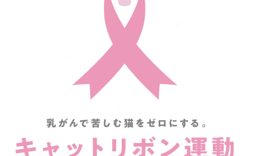 キャットリボン運動