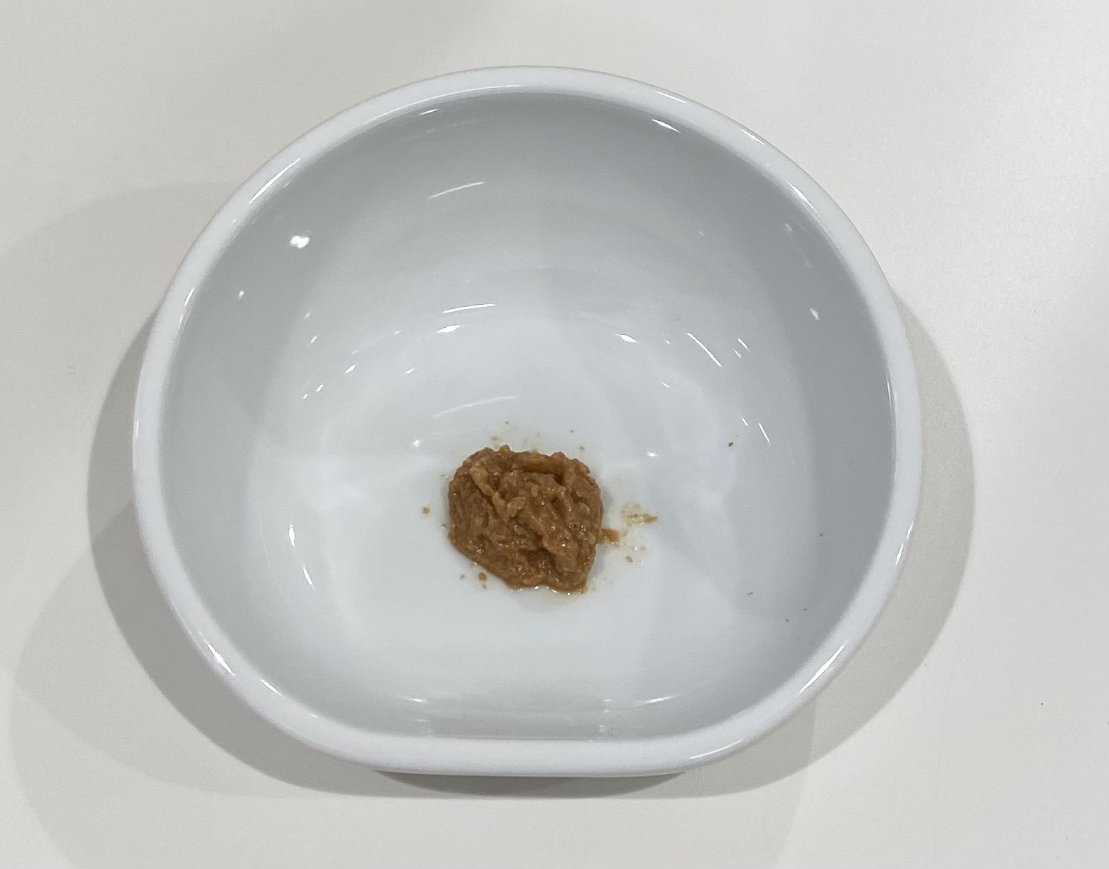 ウェットフードの投薬の良い例