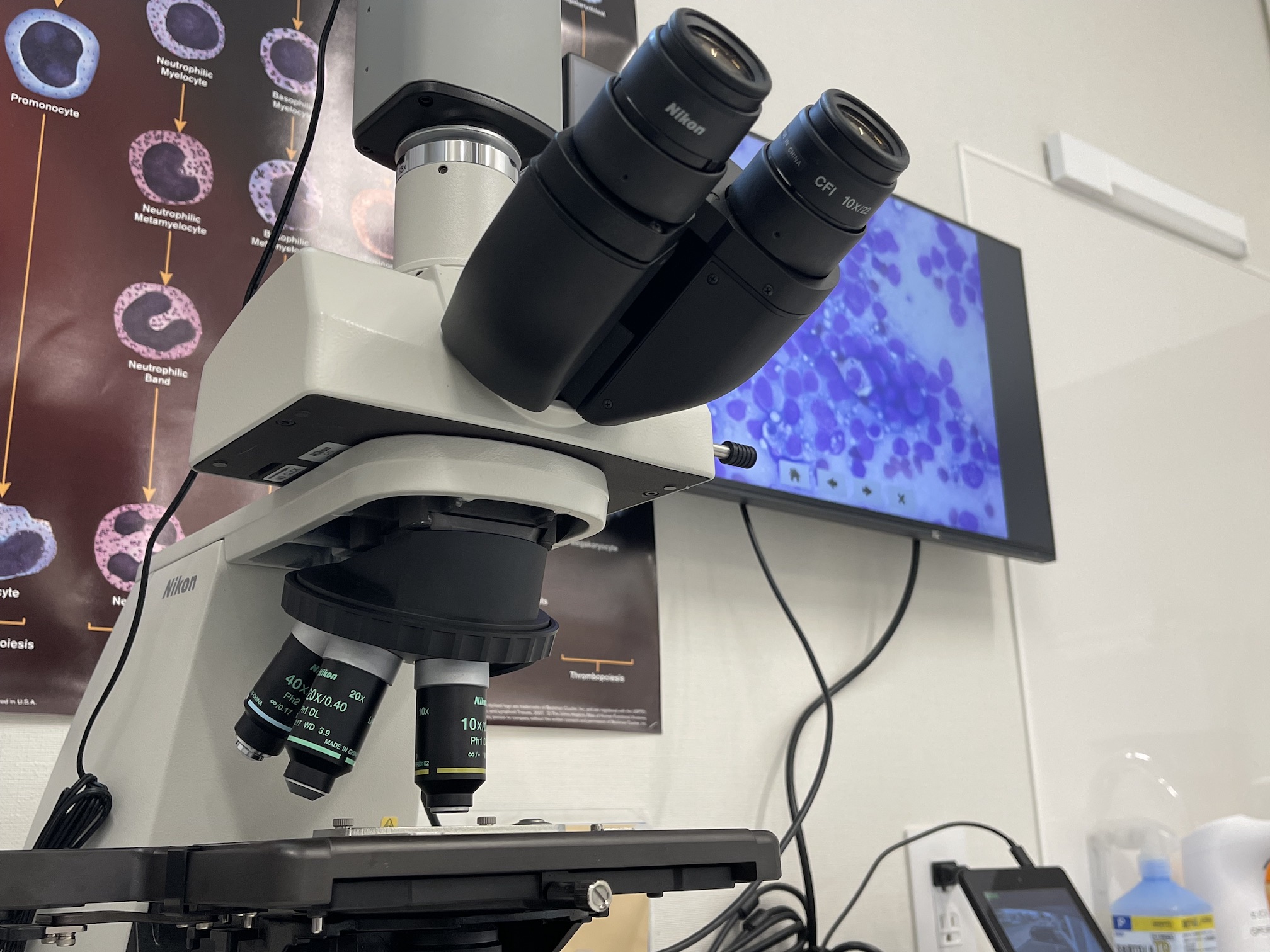 すわ動物病院の顕微鏡