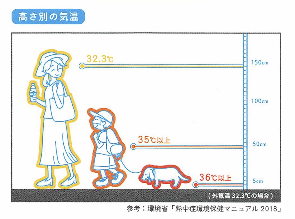 体の高さ別の体感気温