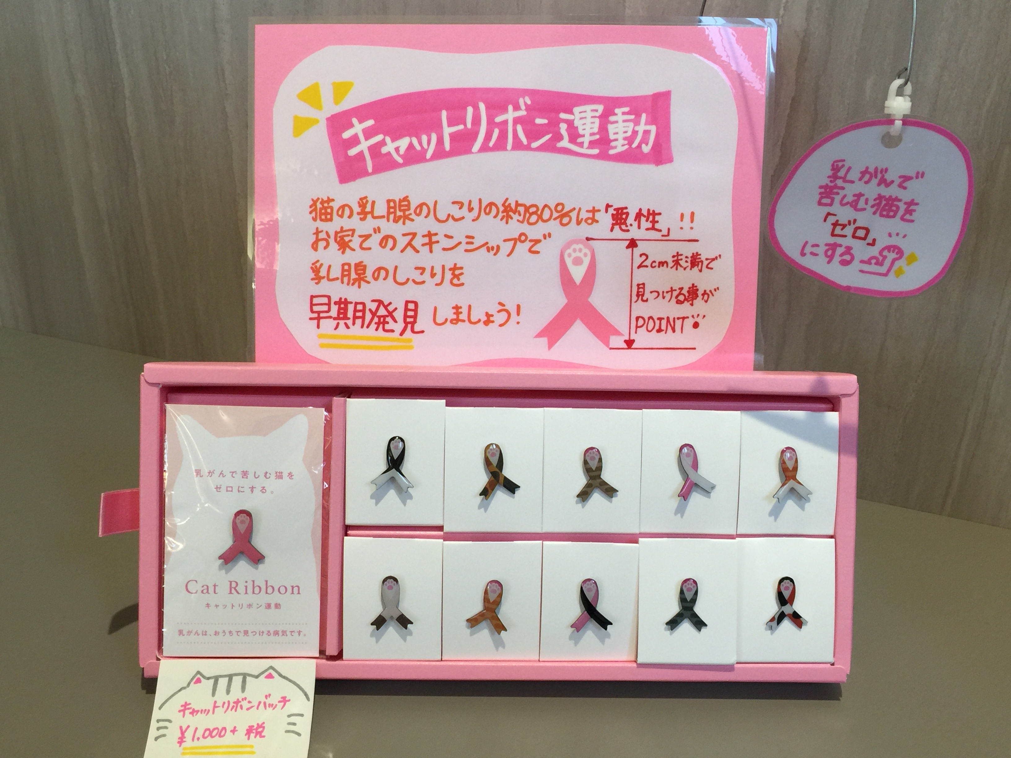 キャットリボン運動のピンバッジ