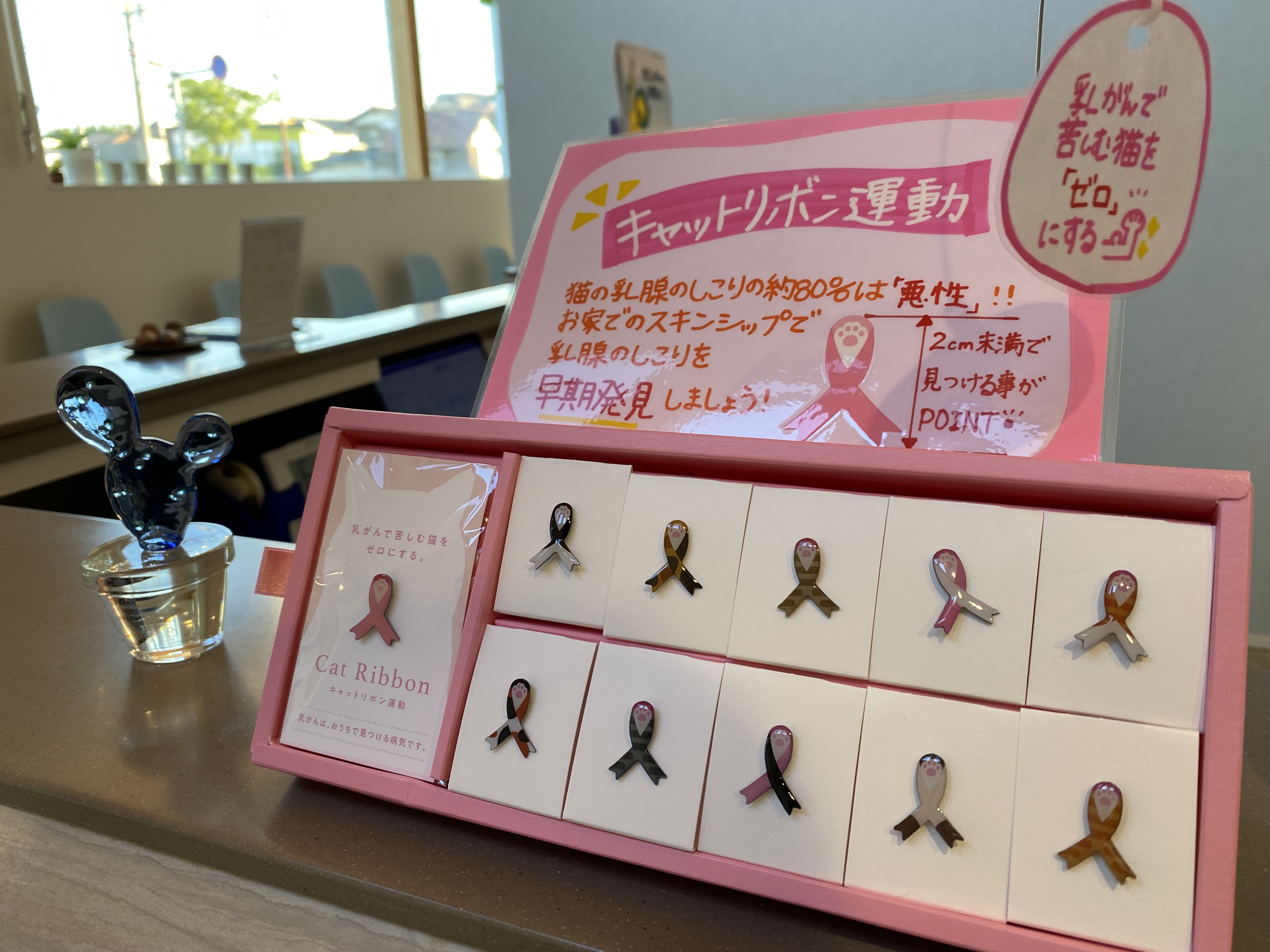 キャットリボン運動
