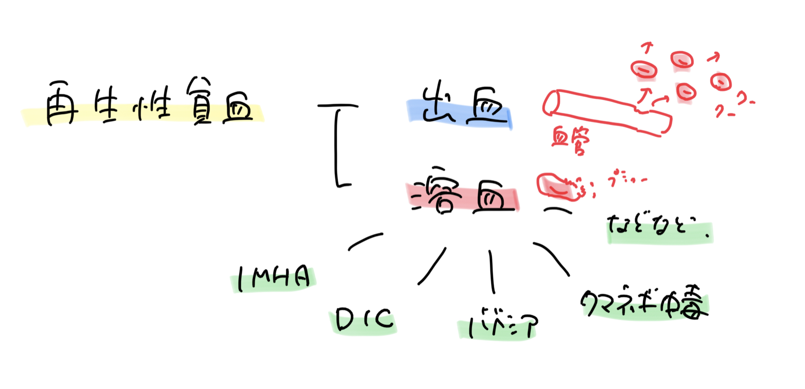 再生性貧血の違い