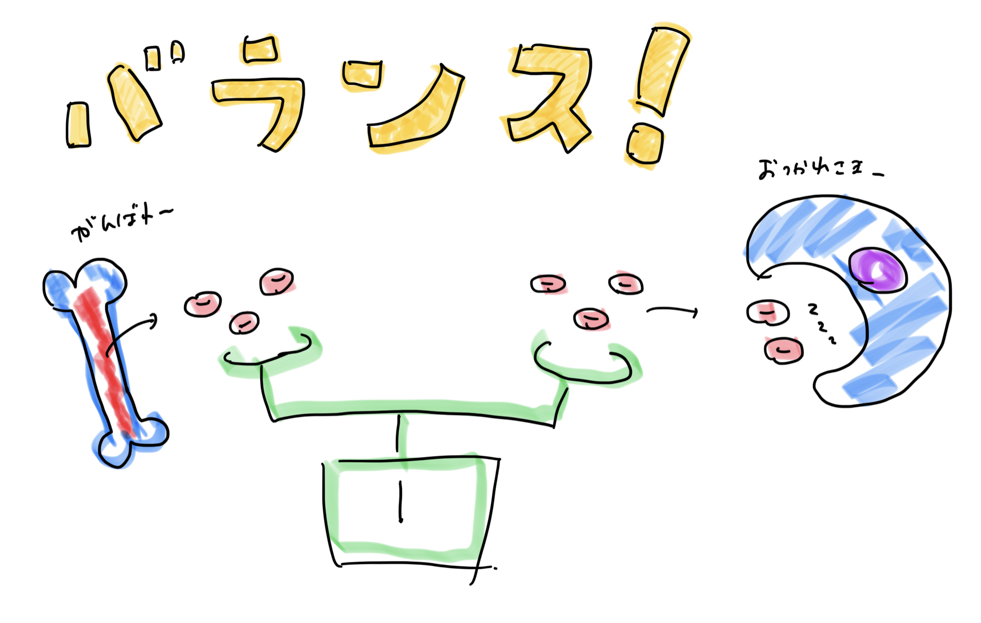 血液のバランス