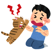 猫に引っ掻かれている飼い主