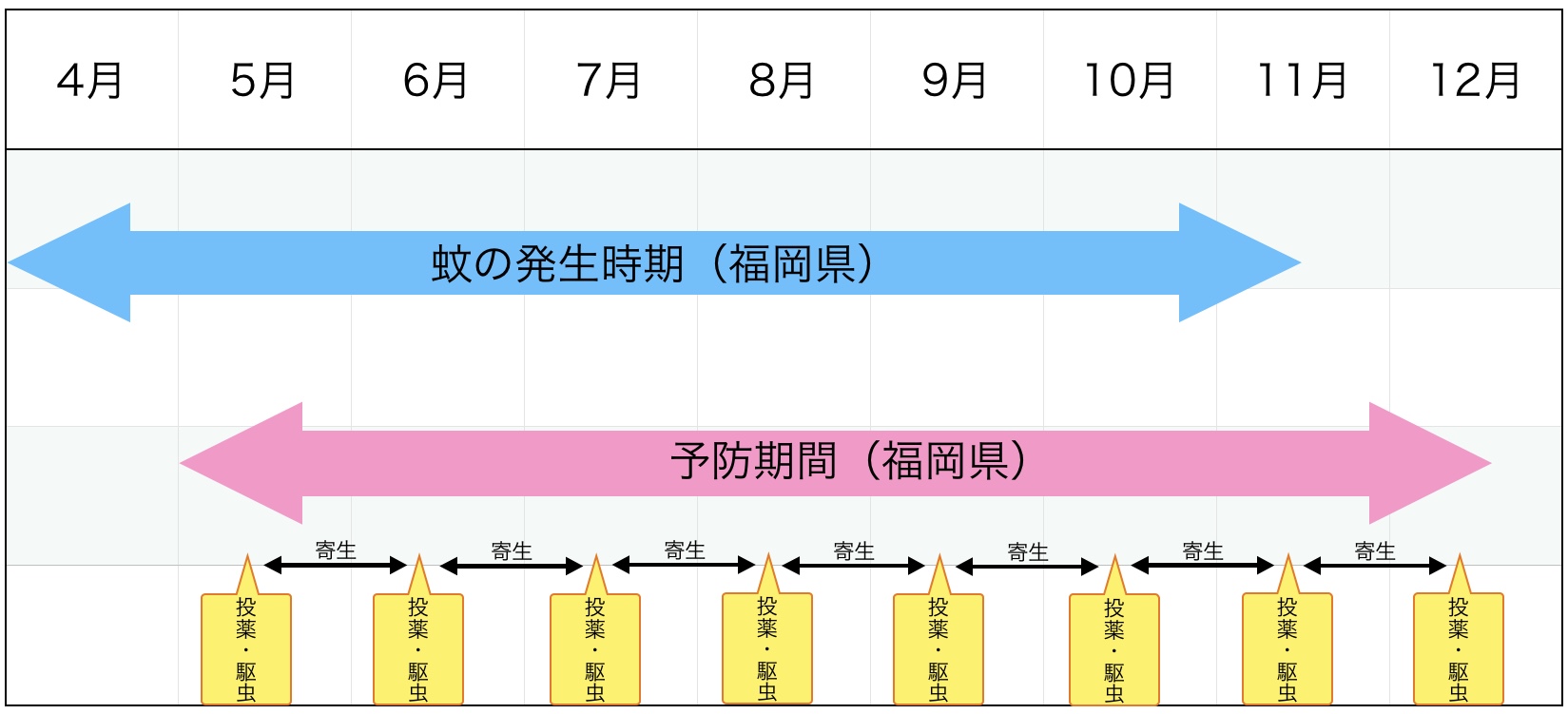 福岡のフィラリア予防期間