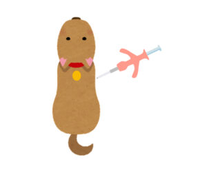 マイクロチップの装着位置