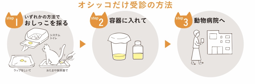 オシッコだけで動物病院を受診する方法