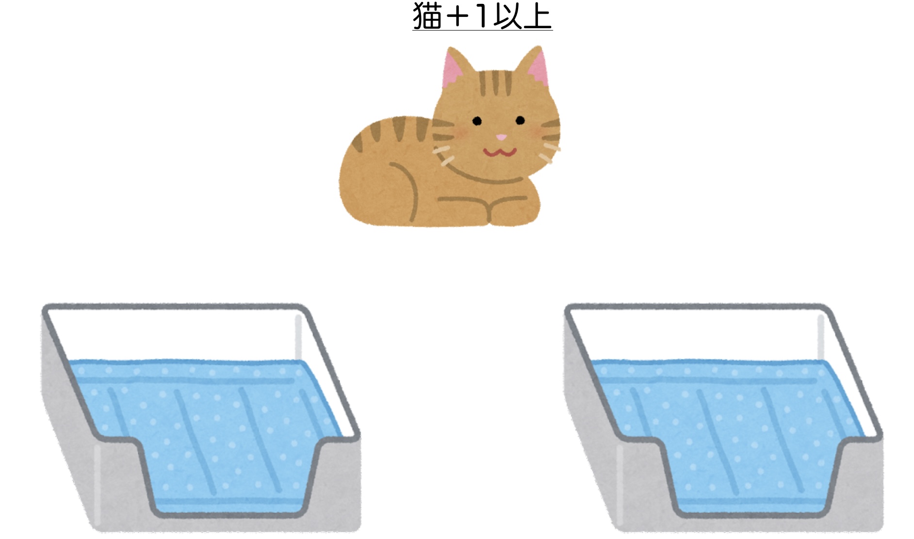 トイレの数は猫＋1以上