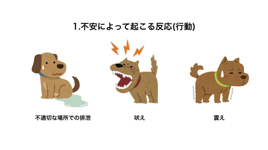 不安によって起こる反応