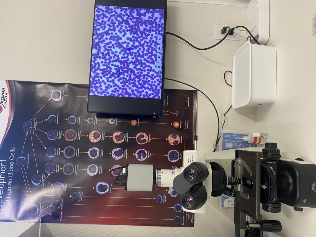 すわ動物病院の顕微鏡検査の様子