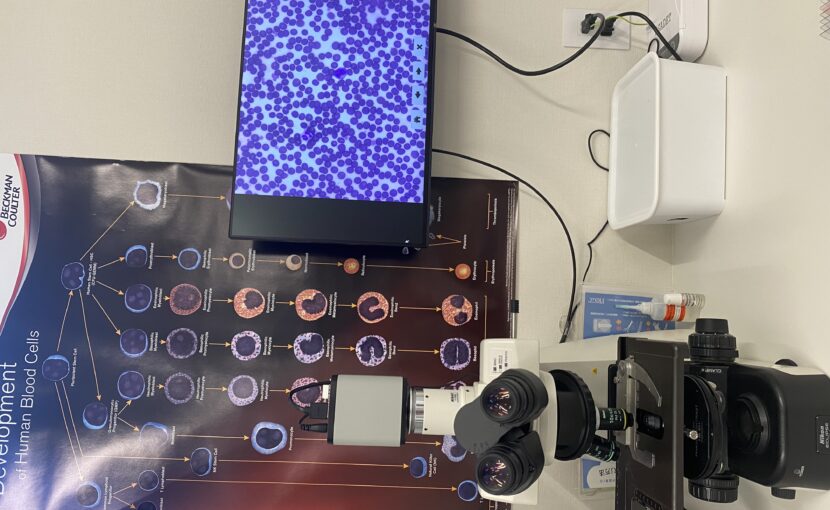 すわ動物病院の顕微鏡検査の様子