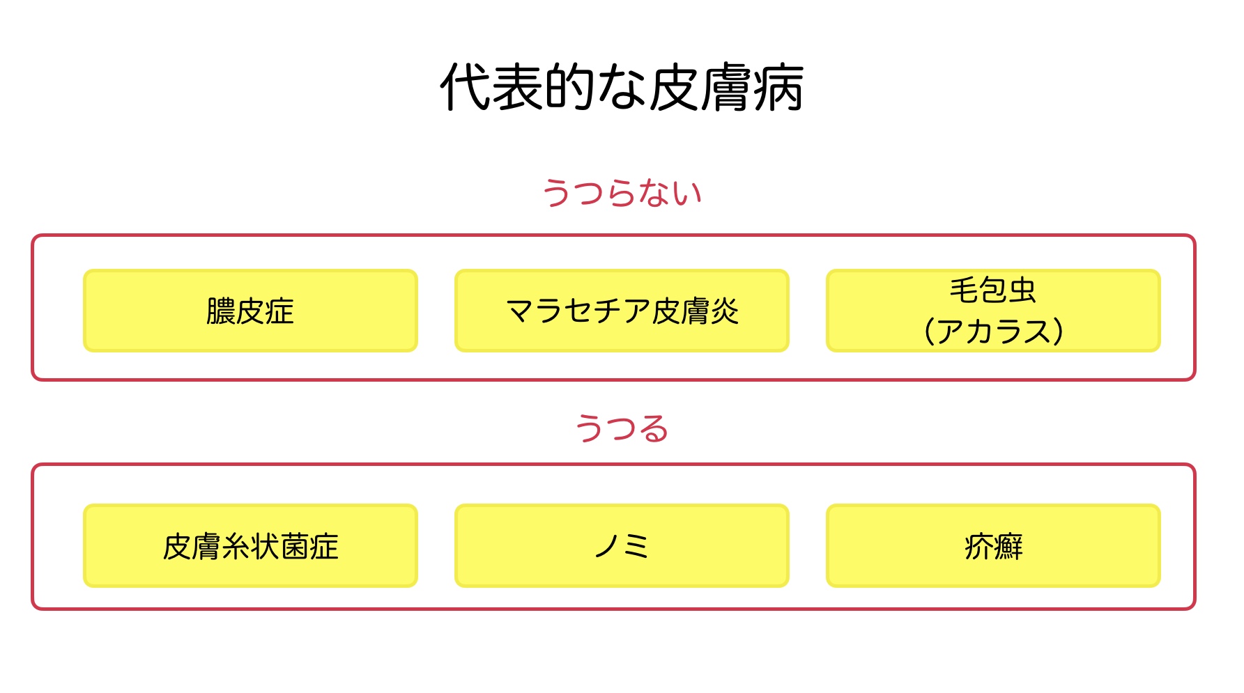 代表的な皮膚病