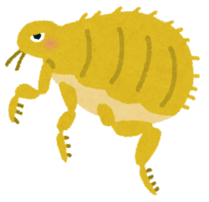 ノミのイラスト