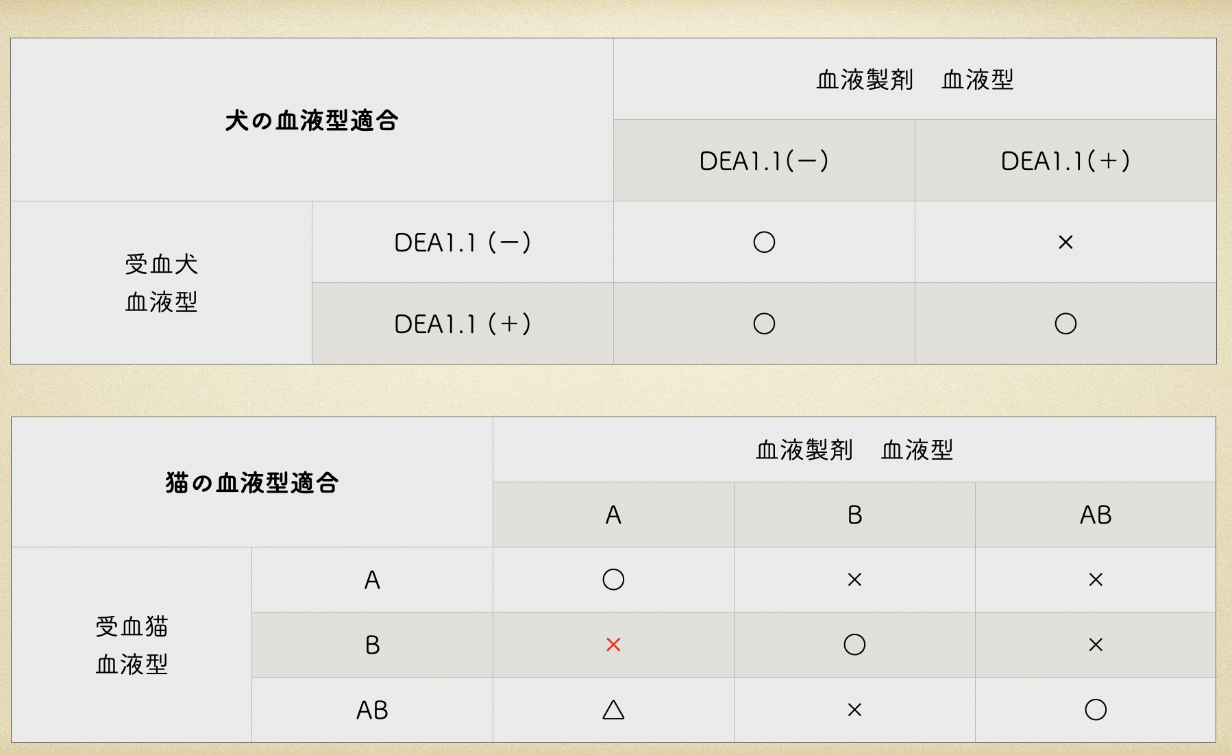 犬と猫の血液型適合
