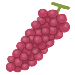 ブドウのイラスト