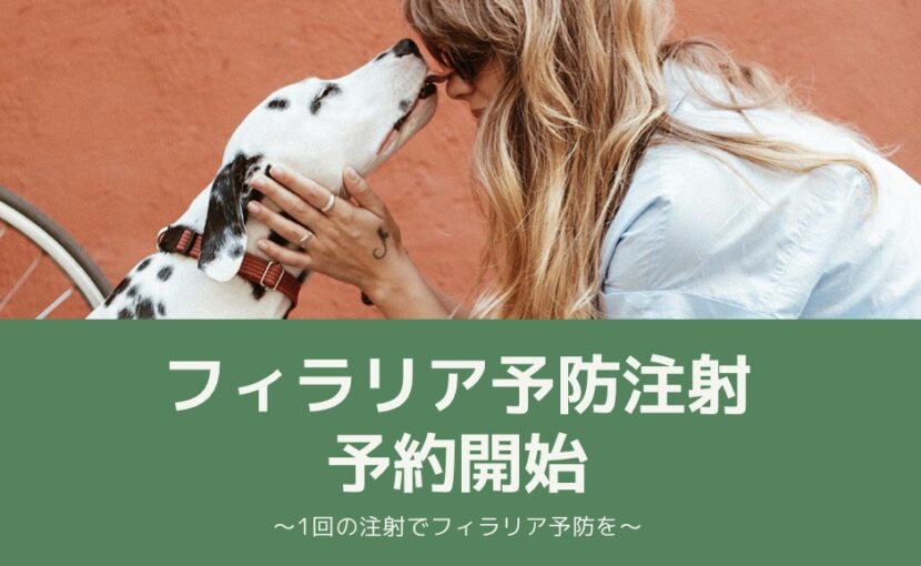 フィラリア予防注射予約開始