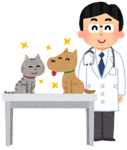 診察されている犬と猫