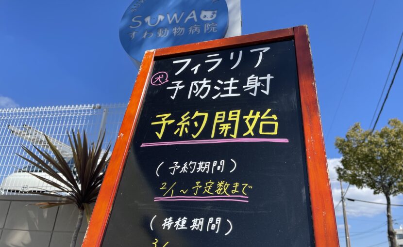 フィラリア予防注射