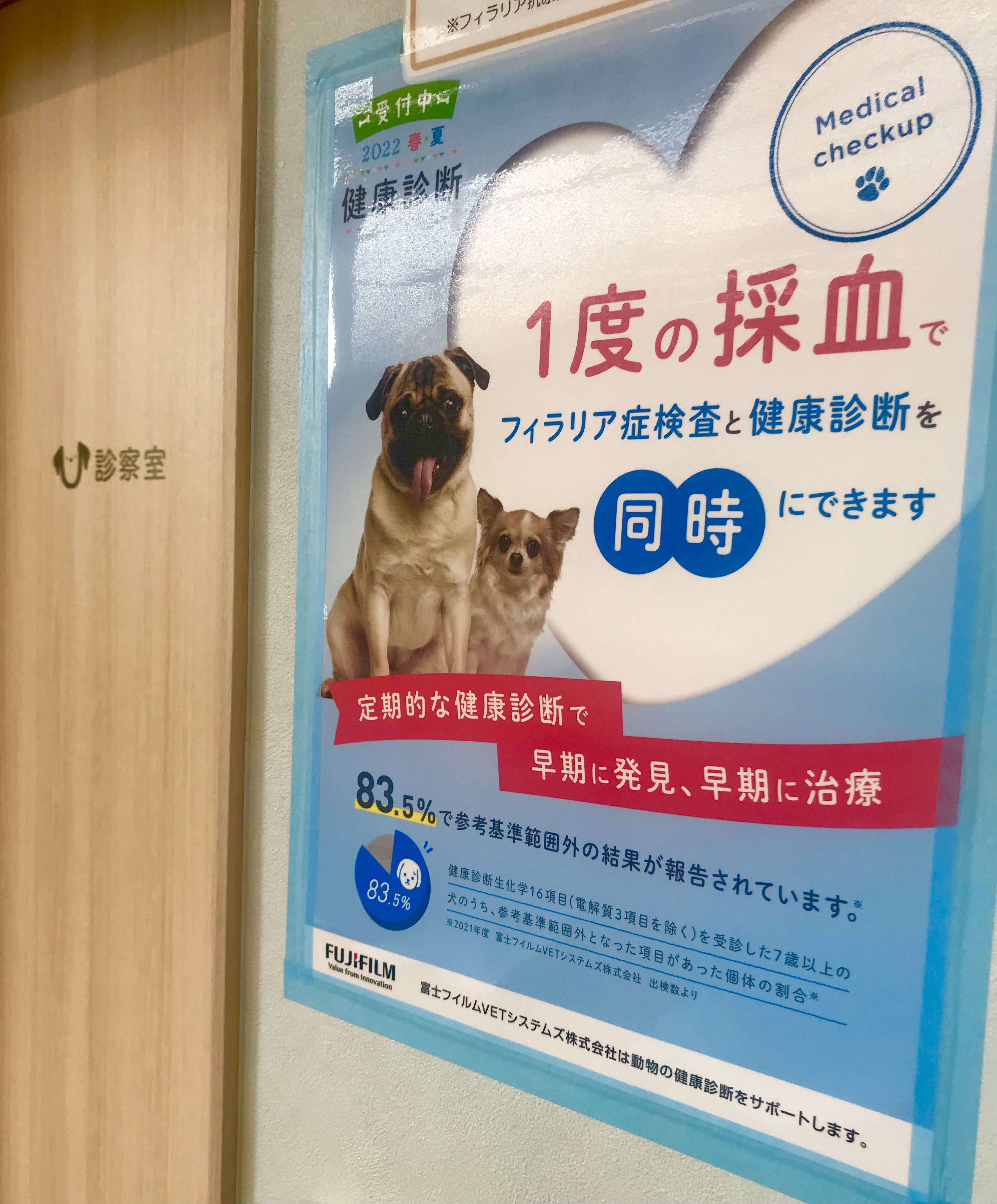 1度の採血でフィラリア症検査と健康診断を同時にできます