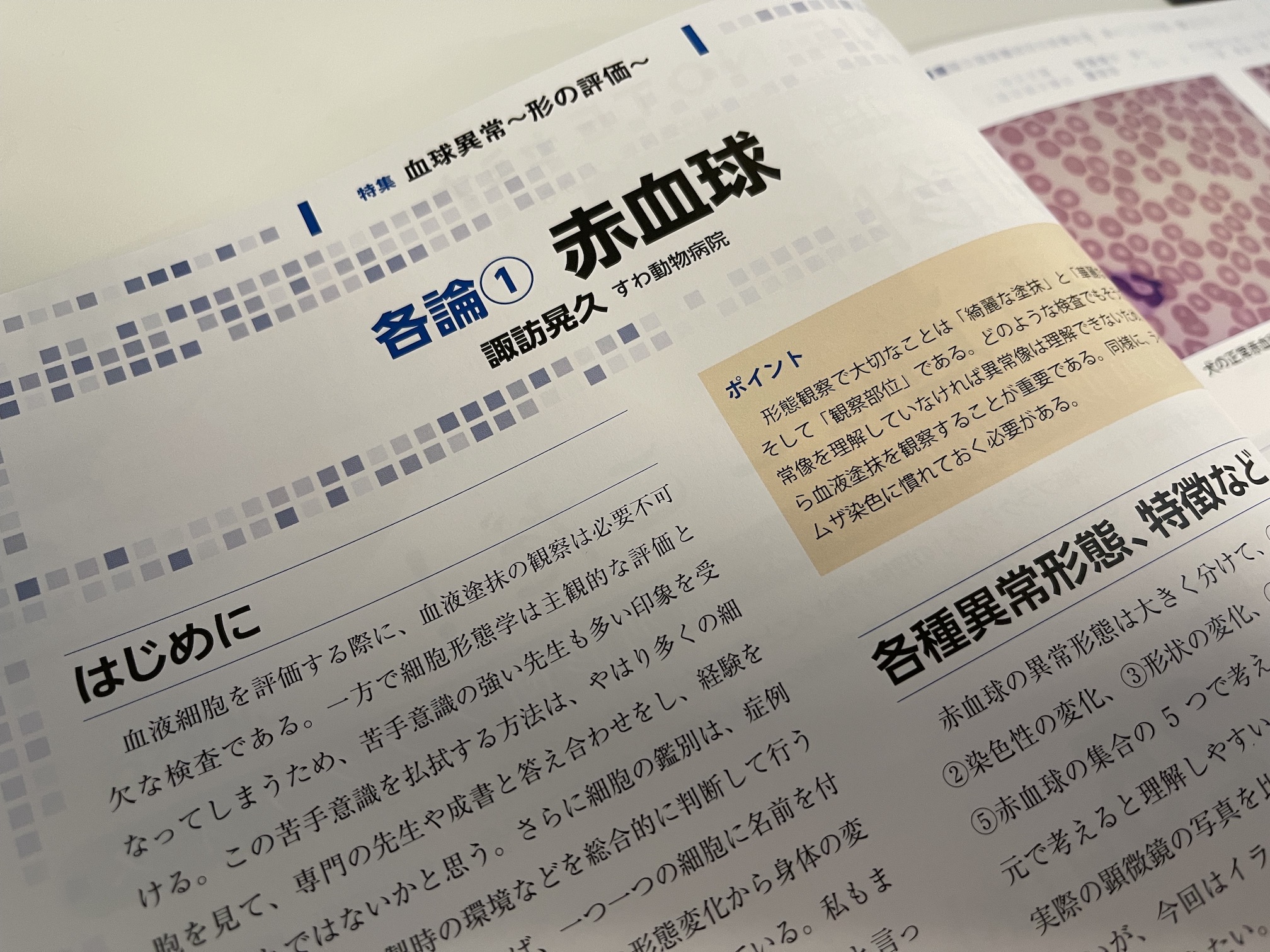 赤血球の各論　諏訪晃久