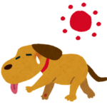 暑がっている犬