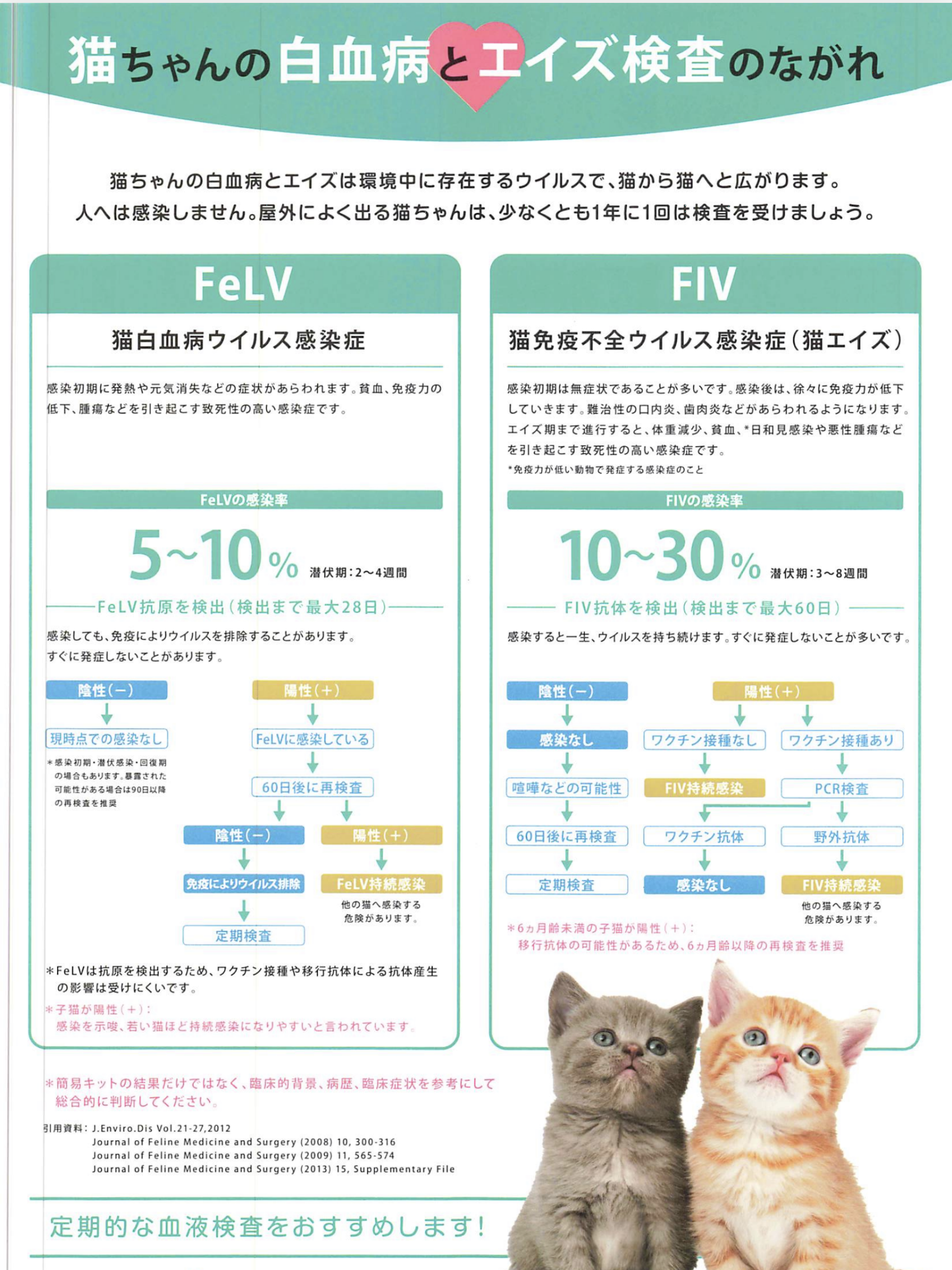 猫ちゃんの白血病よエイズ検査のながれ