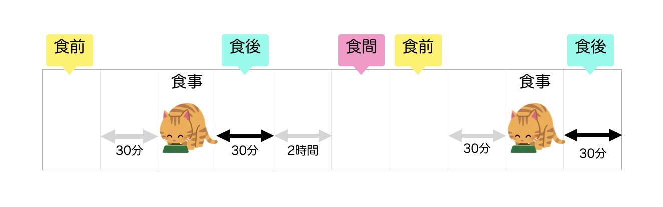食前、食後、食間