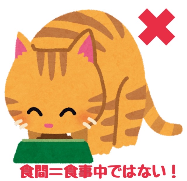 食間＝食事中ではない！