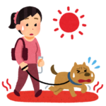 暑い中散歩している犬
