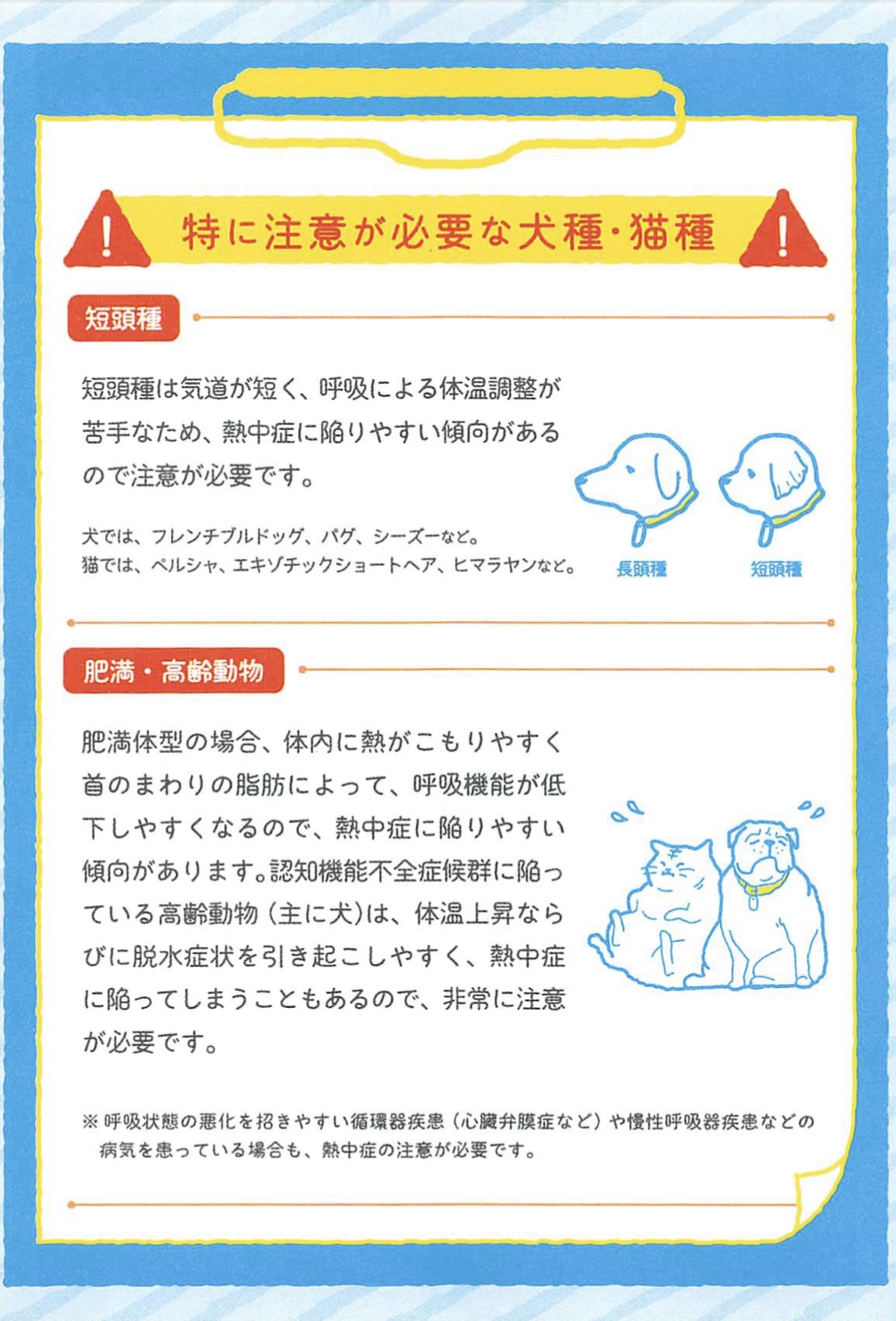 特に注意が必要な犬種・猫種