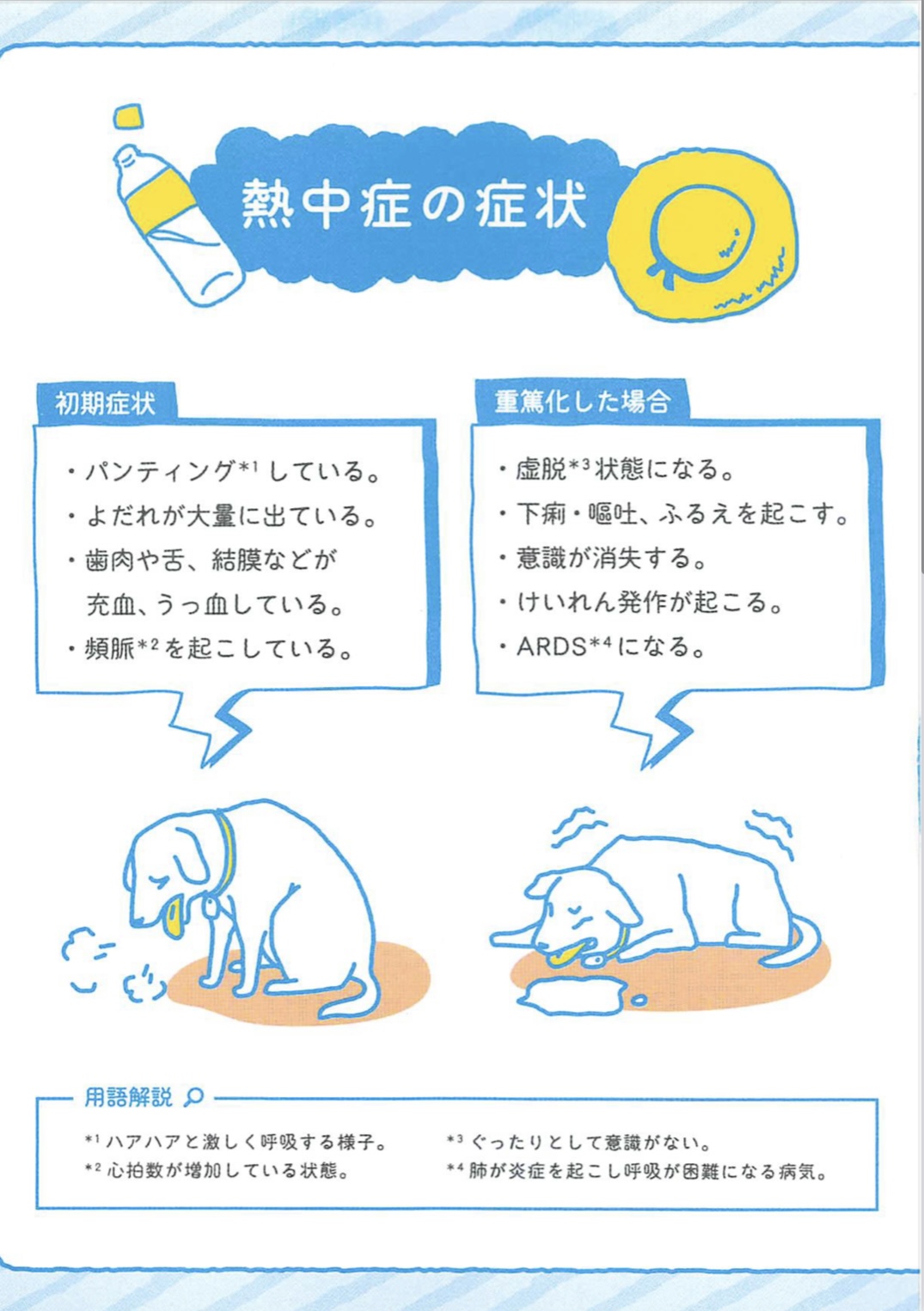 犬の熱中症の症状