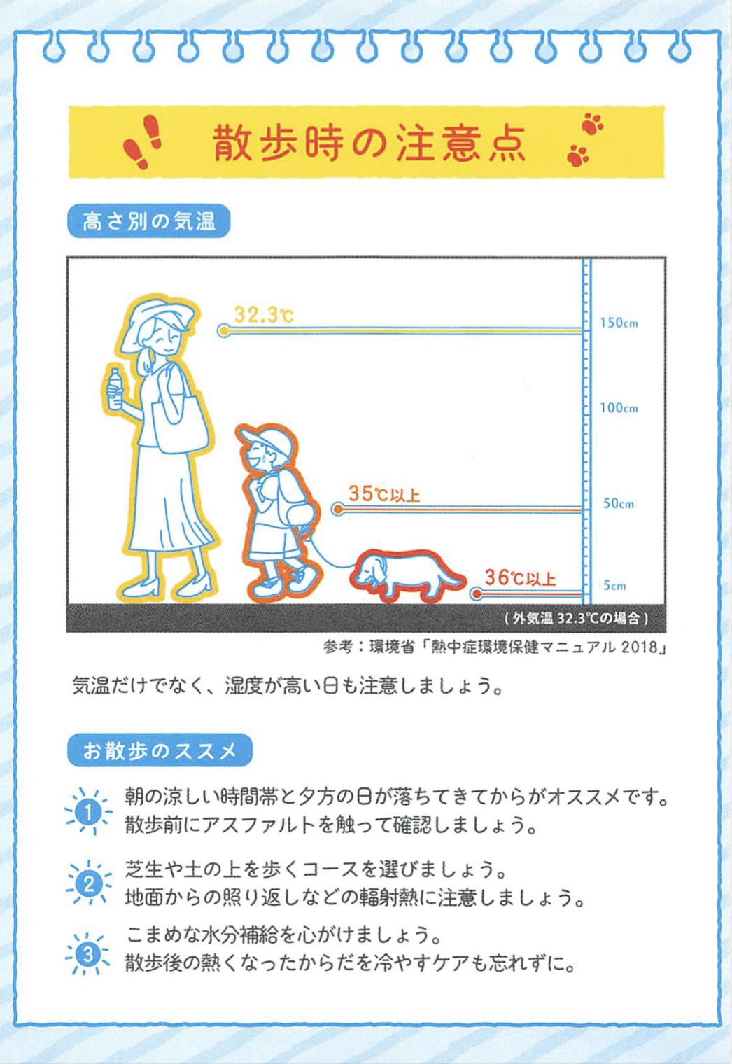 散歩時の注意点