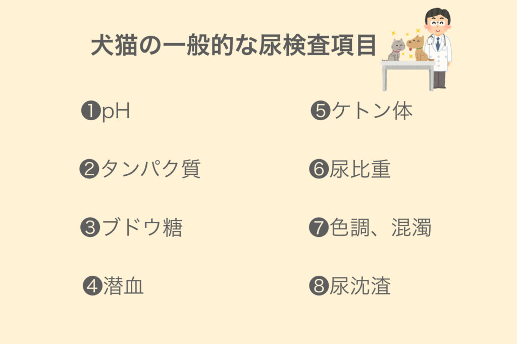 犬猫の一般的な尿検査項目