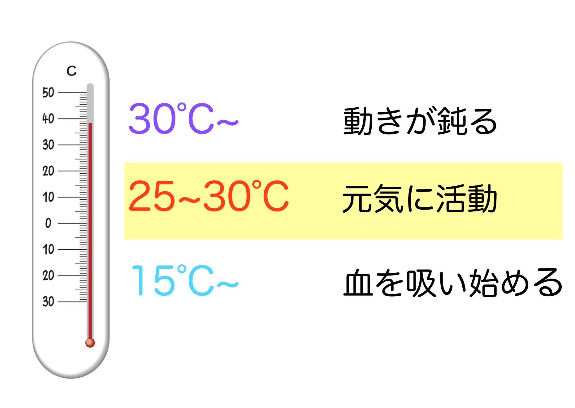 フィラリアが活発になる気温