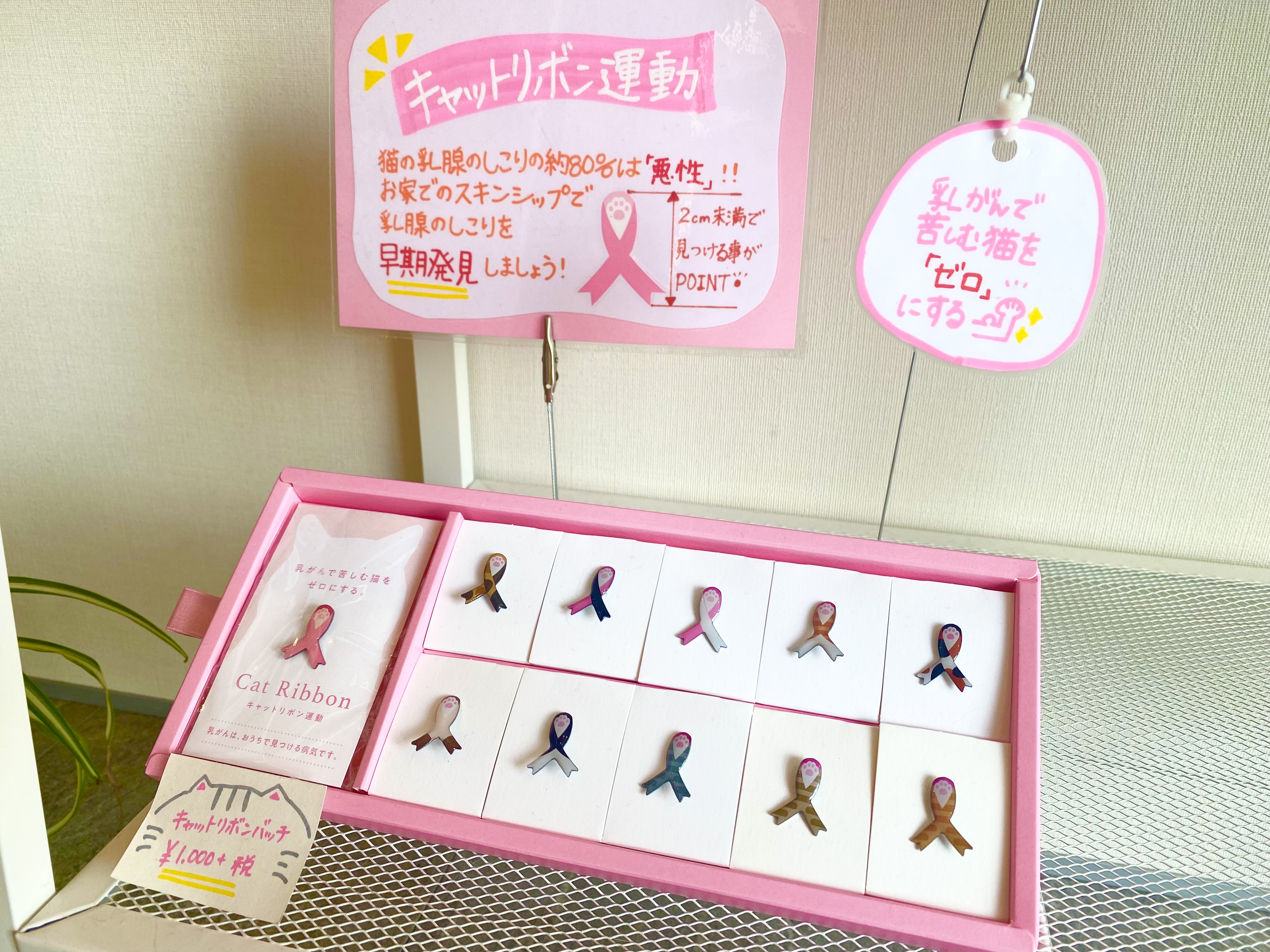 キャットリボン運動