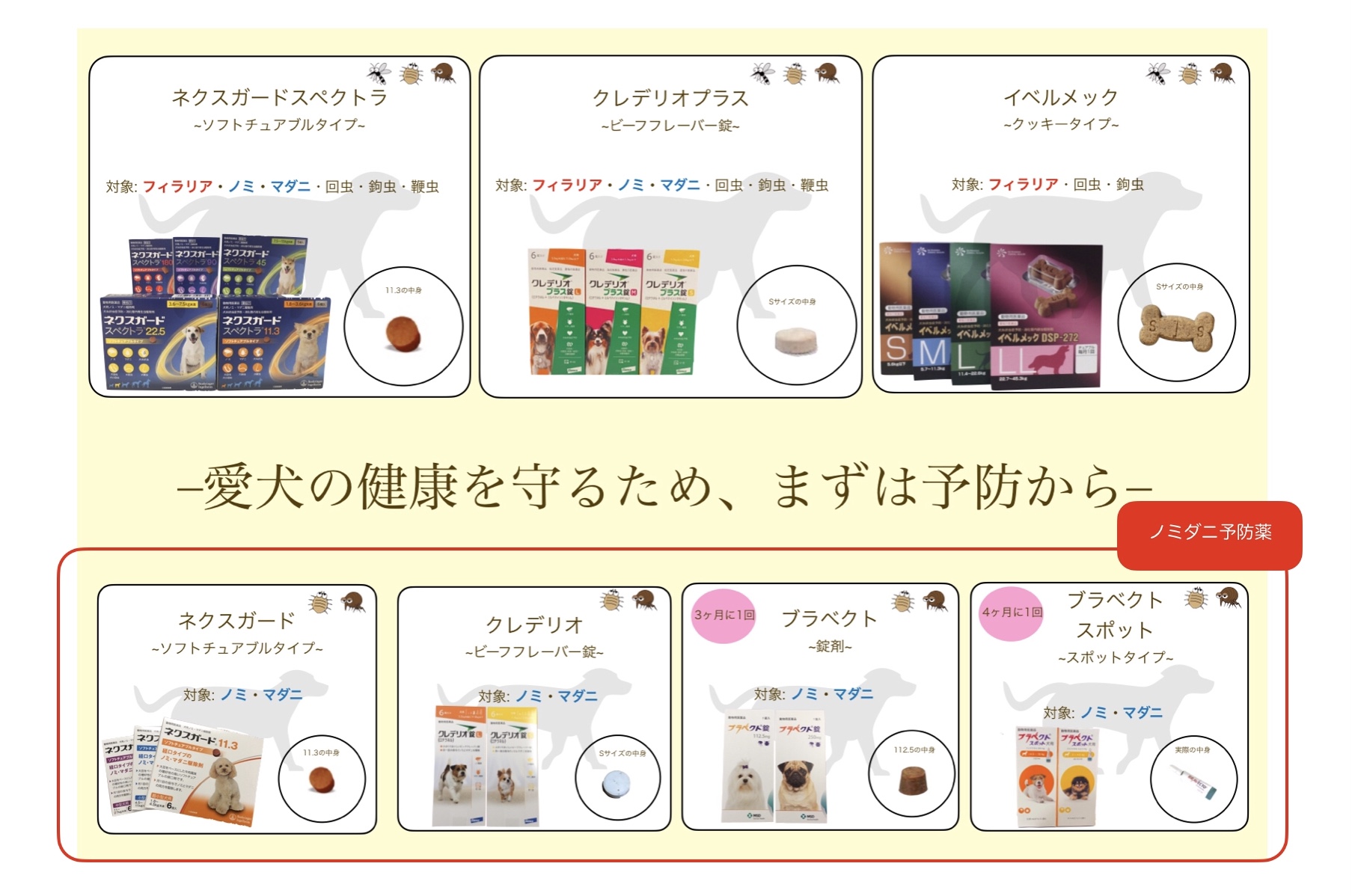 愛犬の健康を守るため、まずは予防から