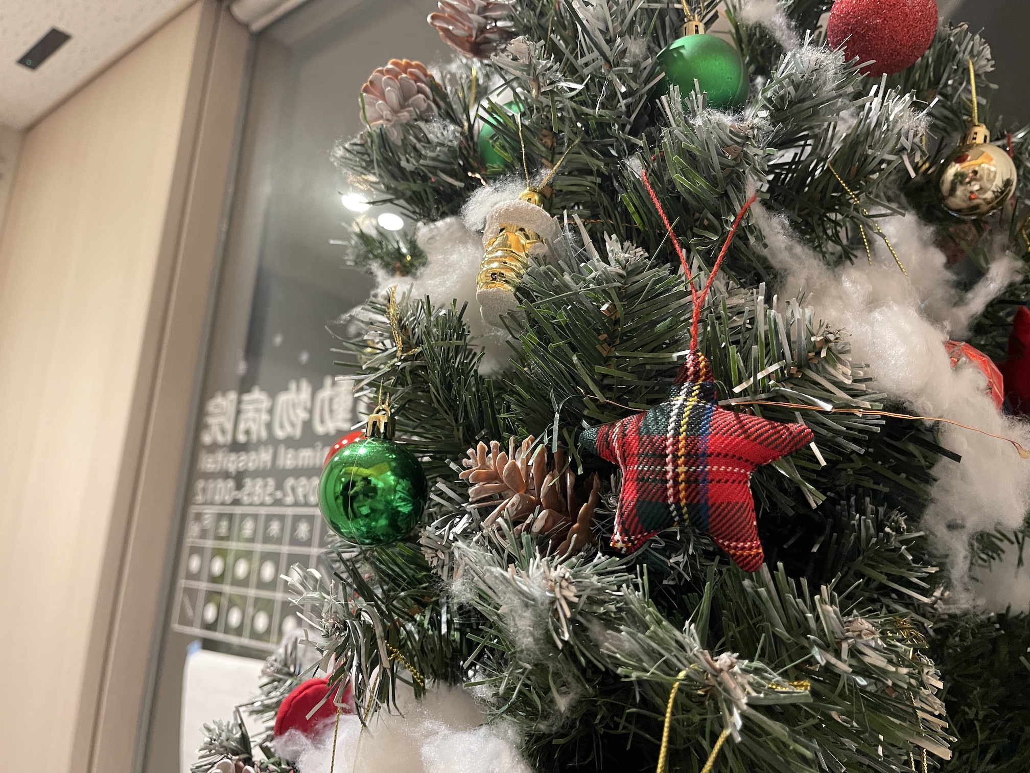 クリスマスツリーの飾り