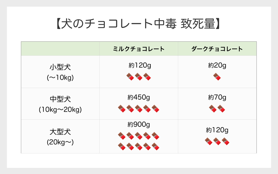犬のチョコレート中毒　致死量