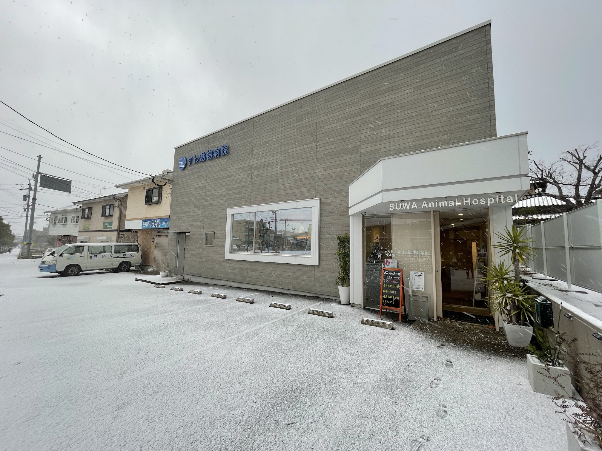 雪が降っているすわ動物病院