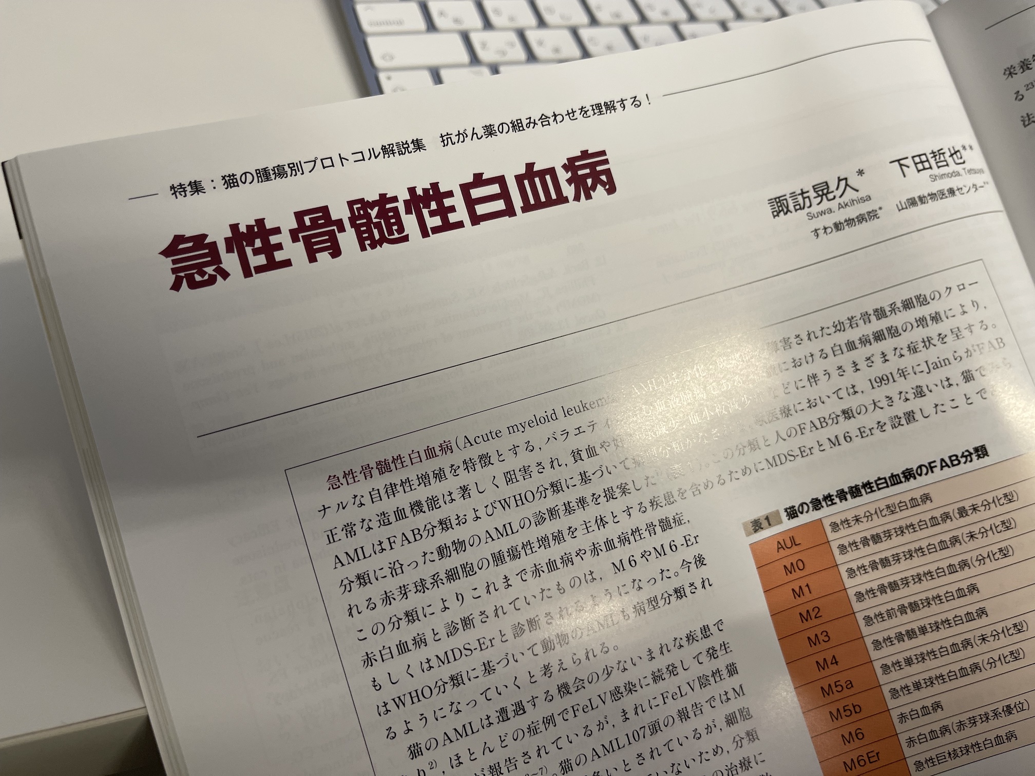 急性骨髄性白血病　諏訪晃久